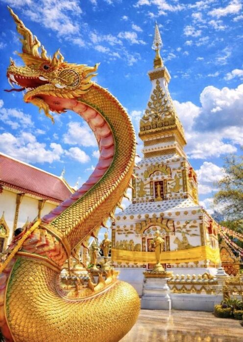 ชวนกันมา พากันมู