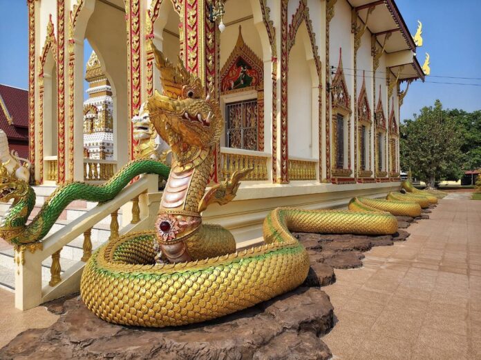 ชวนกันมา พากันมู