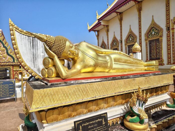 ชวนกันมา พากันมู
