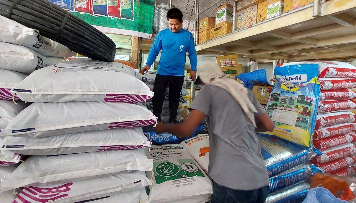ร้านปุ๋ยเบตง อั้นไม่ไหว ปุ๋ยยูเรียส่อพุ่งกระสอบ 1,100 บาท เกษตรกรแห่ซื้อตุน หวั่นขาดตลาด