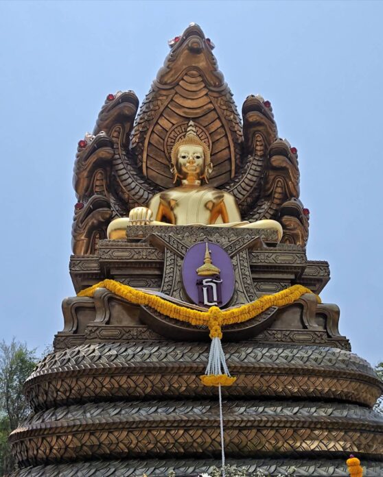 ชวนกันมา พากันมู