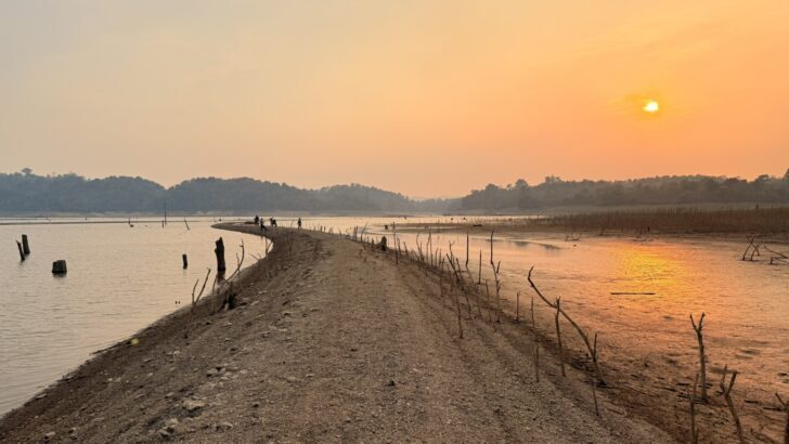 WWII Death Railway resurfaces in Thailand after 42 years