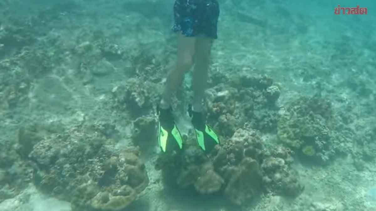 เร่งหาตัว ไกด์ปล่อยนักท่องเที่ยว เหยียบปะการัง อช.หมู่เกาะพีพี แจงไม่ได้ละเลย