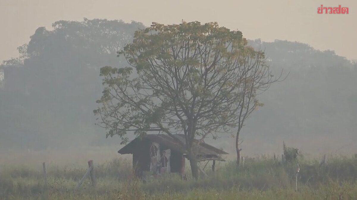 ฝุ่นพิษ PM2.5 ยังหนัก 40 จังหวัด เกินค่ามาตรฐาน เหนือวิกฤตต่อเนื่อง