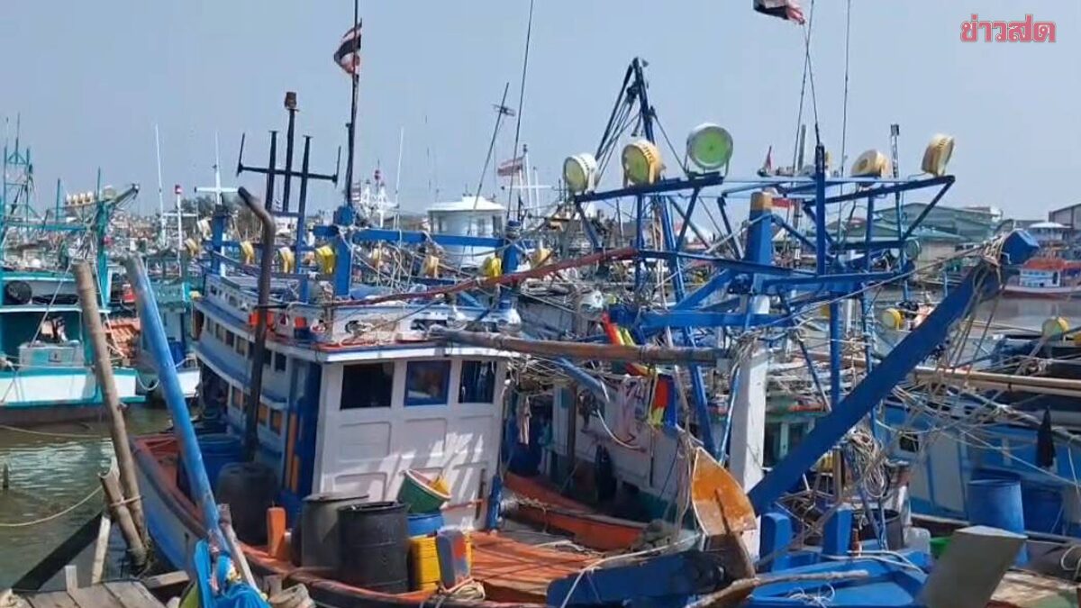 พิษน้ำมันแพง เรือประมงระยอง 500 ลำ จอดนิ่งเทียบท่า หลังออกเรือไปมีแต่ขาดทุน
