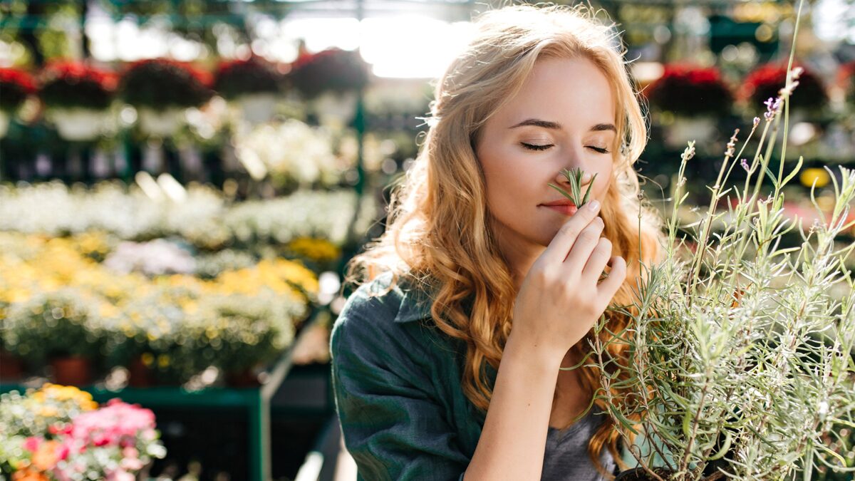 รู้หรือไม่ แค่ดมกลิ่นนี้ทุกวัน ก็สามารถทำให้สมองแก่ช้าลง