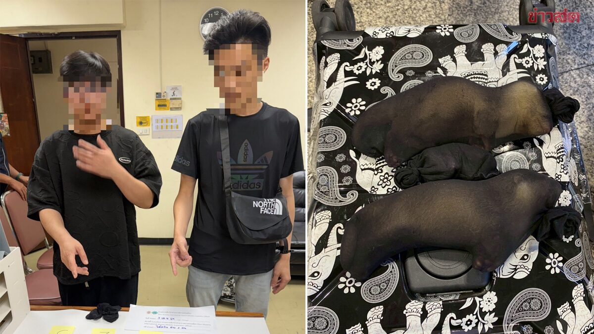 “สุชาติ” สั่งล่าขบวนการค้าสัตว์ป่า จับ 2 ชาวไต้หวันลอบขนนาก-นางอายคาดอนเมือง