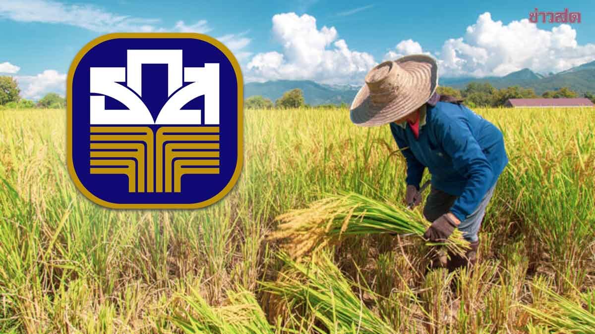 เปิดเงื่อนไข สินเชื่อ‘ดอกเบี้ยคนละครึ่ง’ เกษตรกรกู้สูงสุด 1 แสน รัฐช่วยจ่ายดอกเบี้ย 3%
