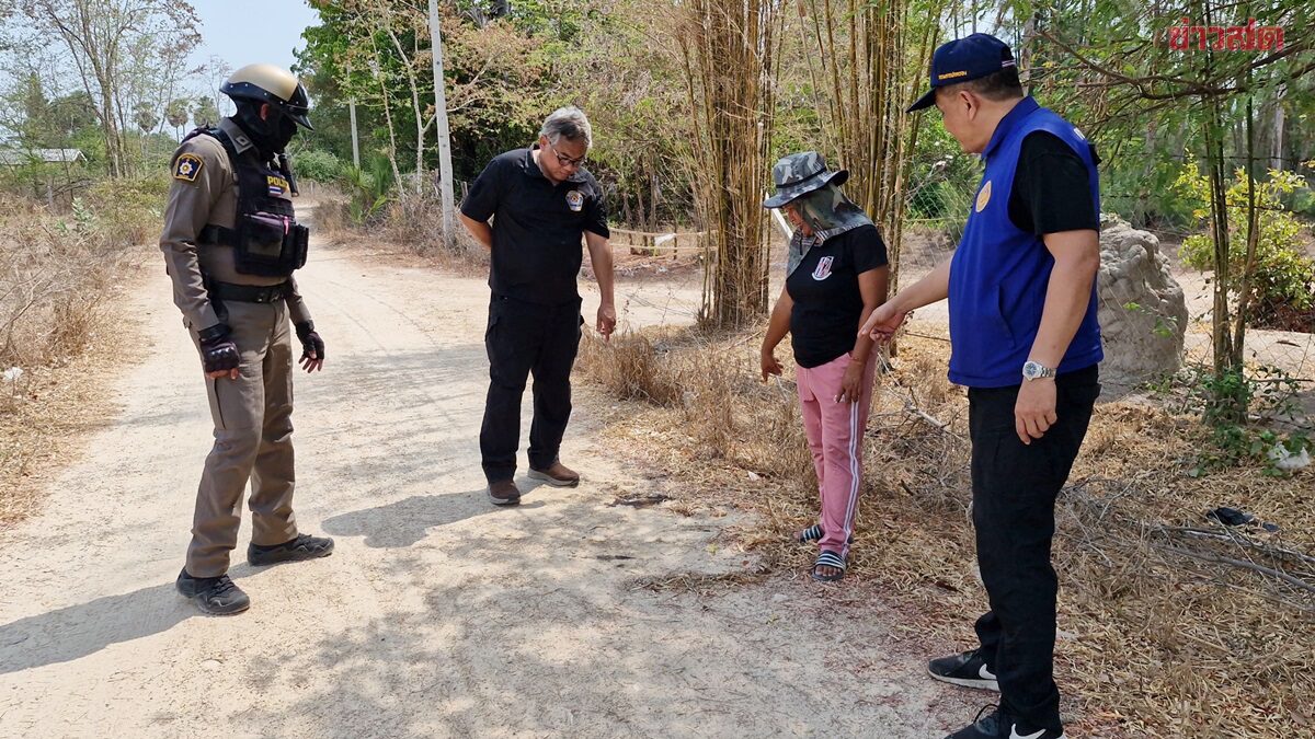 สลดเกลื่อนถนน วางยาเบื่อสุนัขจรจัดแม่ค้าเศร้าขายข้าวหาเงินเลี้ยง 19 ตัวเจอซาก 5 รอด 4 ที่เหลือคงตายหมด