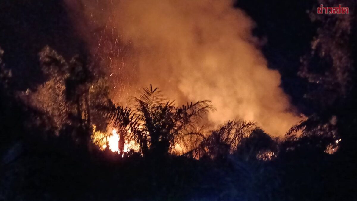 ชุมพรร้อนระทึก ไฟลุกไหม้เผาป่าพรุกว่า 100 ไร่ จนท.ระดมรถน้ำสกัดเพลิงวุ่น หวั่นปะทุซ้ำ