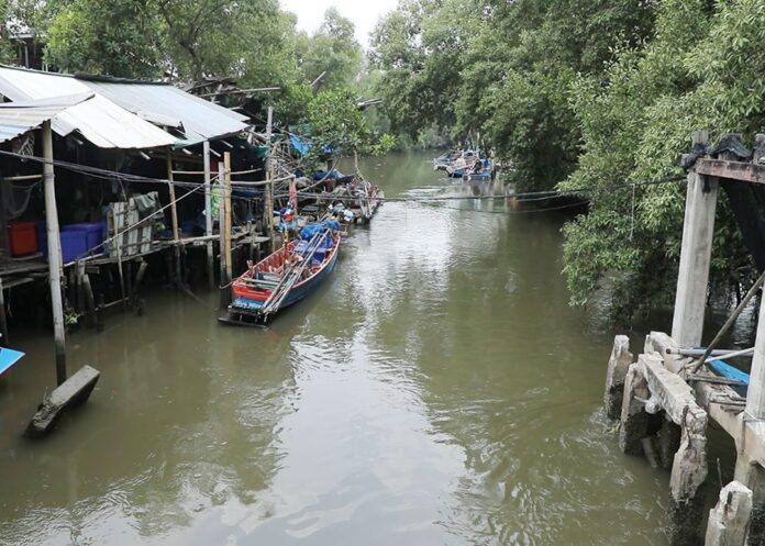 สดจากเยาวชน - ข้าวต้มห่อ ลมหายใจป่าจาก