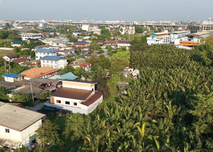 สดจากเยาวชน - ข้าวต้มห่อ ลมหายใจป่าจาก