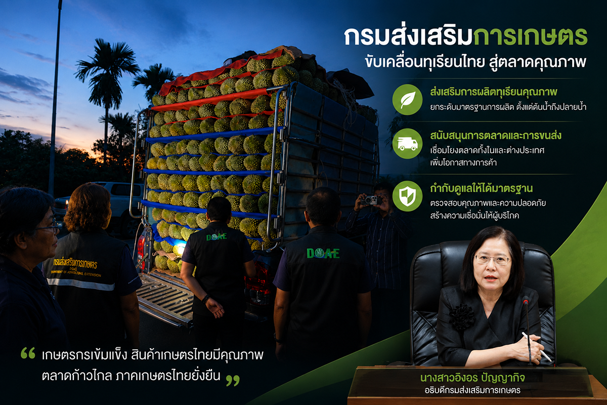 สกัด “ทุเรียนอ่อน” กรมส่งเสริมการเกษตรคุมเข้มคุณภาพทุเรียนภาคตะวันออก เดินหน้าสร้างความเชื่อมั่นผู้บริโภค
