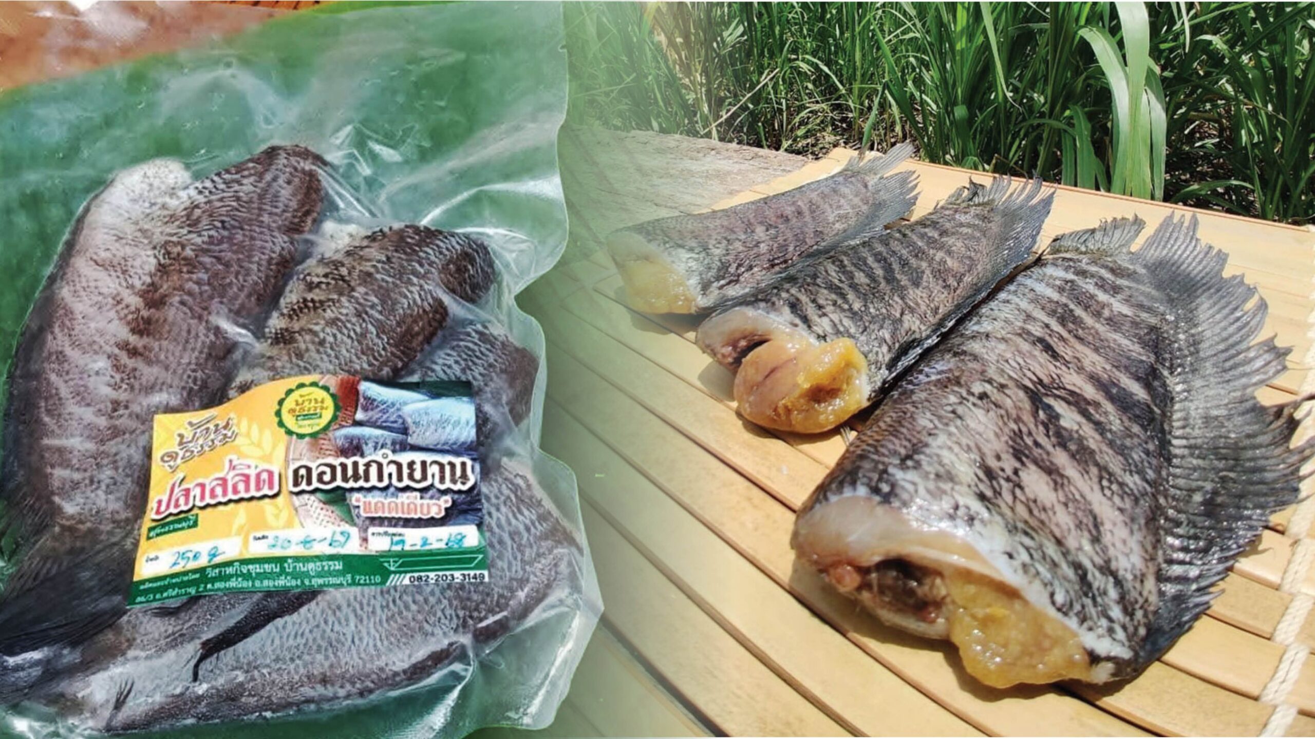 Diverse Local Techniques – Don Kamyan Snakehead Fish, A Prized GI Product and Culinary Treasure of Suphan Buri