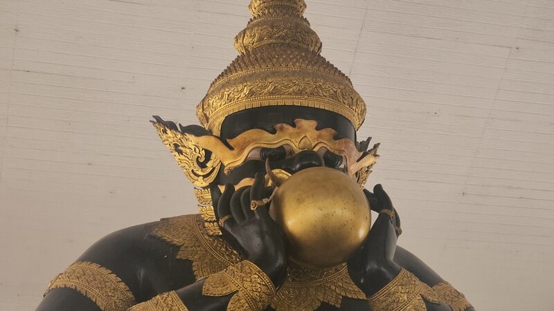 เซลล์สาว