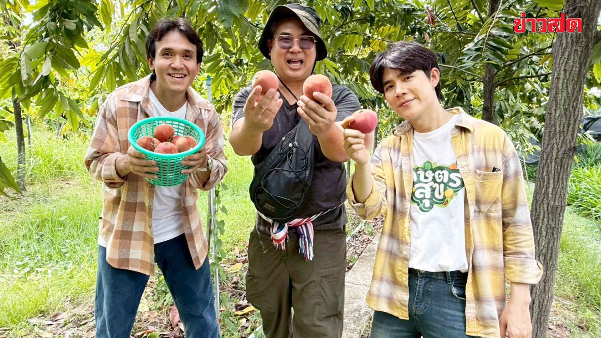 โต๋นแตร-จุกบี้ พาดู “ต้นมะริด” ไม้ป่าหายาก สร้างรายได้ 7 หลัก
