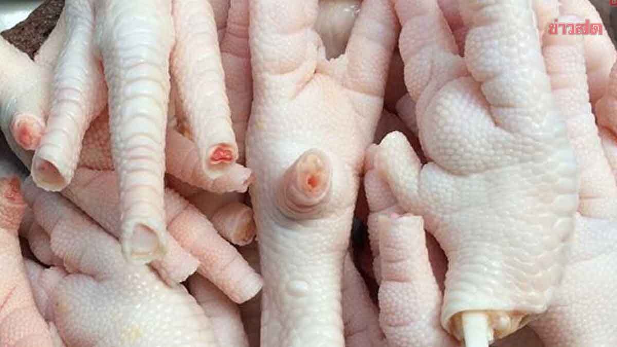 China Blacklists 17 Thai Companies Over Smuggled Chicken Feet Exports; Hunt Underway for Smugglers Posing as Thai Producers