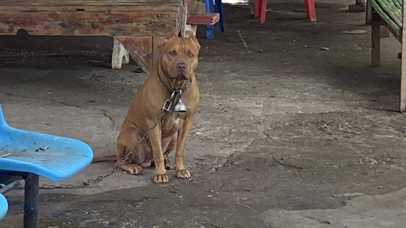 เจ้าอาวาส