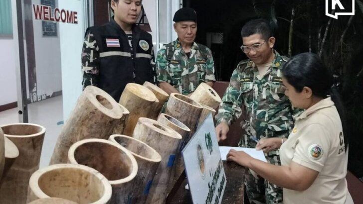 Thai authorities seize 130 kg of ivory near Lao border