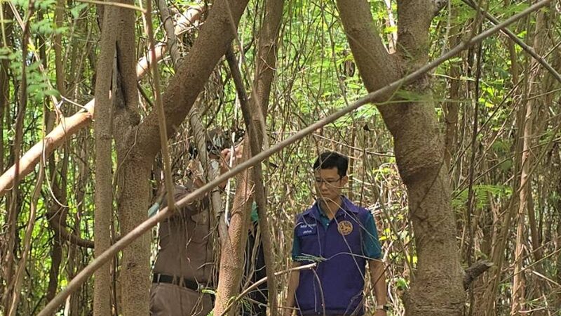 ลูกชาย