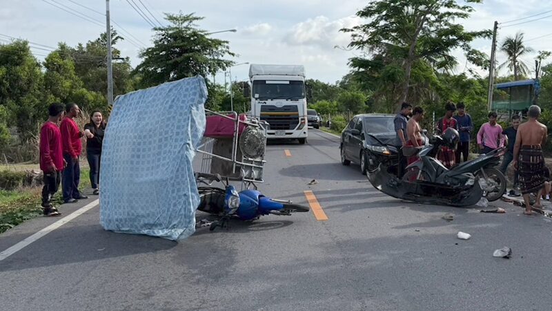 จอดให้เต่าข้ามถนน