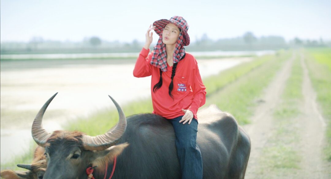 อาทิตย์ใส