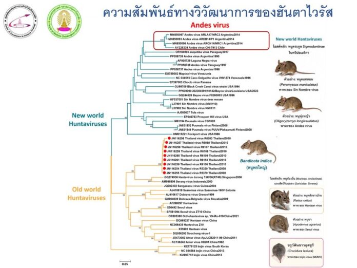 ไวรัสฮันตา