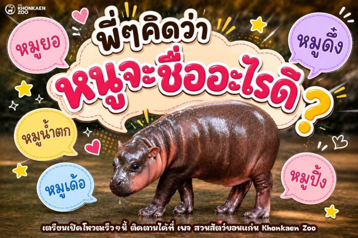 ภาพประกอบ
