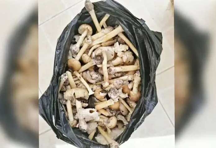 ปลัดกระทรวงสิ่งแวดล้อมด้วย กล่าวว่า เหตุการณ์ดังกล่าวเกิดขึ้นเมื่อวันพุธ และเจ้าหน้าที่ทั้ง 9 นายถูกส่งตัวไปโรงพยาบาลในพื้นที่เพื่อรับการรักษาฉุกเฉิน “ณ วันนี้ 15 พฤษภาคม พวกเขาทั้งหมดพ้นจากภาวะวิกฤตแล้ว” เขากล่าวกับสำนักข่าวซินหัว “แปดคนหายดีแล้วและออกจากโรงพยาบาลแล้ว”