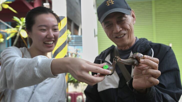 A Taiwanese town embraces a slow pace of life through a snail race