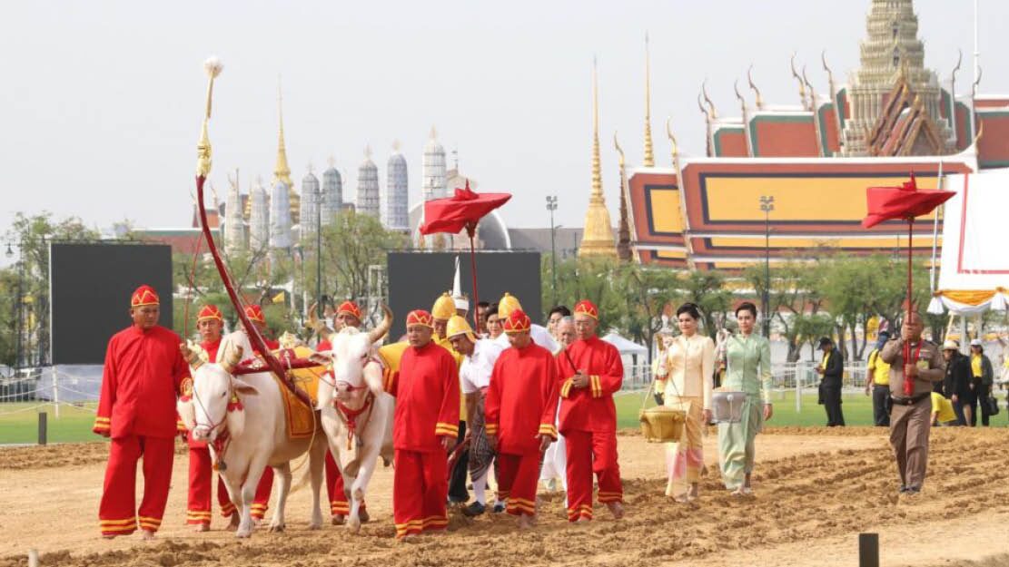 บทบรรณาธิการ – วันพืชมงคล-วันเกษตรกร