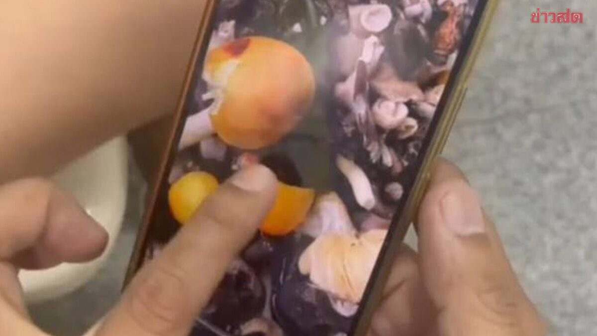 อวสานมื้อเย็น หามส่งโรงพยาบาลด่วน 4 ชีวิตกิน “เห็ดผึ้งถ่าน” ริมทาง