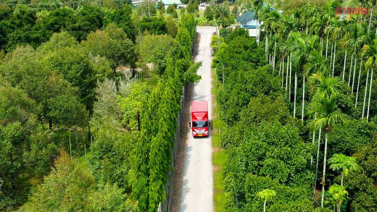 Durian Boom Drives J&T Express Shipments Up 60%, Deploys Over 100 Backup Trucks