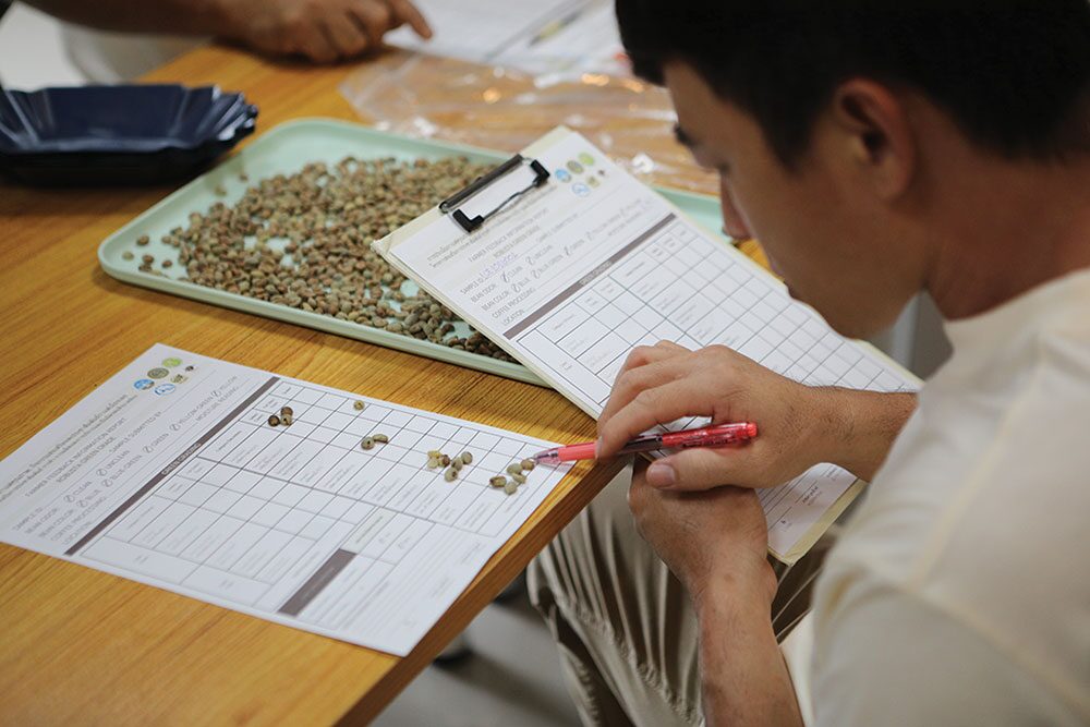หลาก&หลายเกษตร - พัฒนาเมล็ดกาแฟเมืองเลย รองรับตลาดโรบัสต้าคุณภาพ