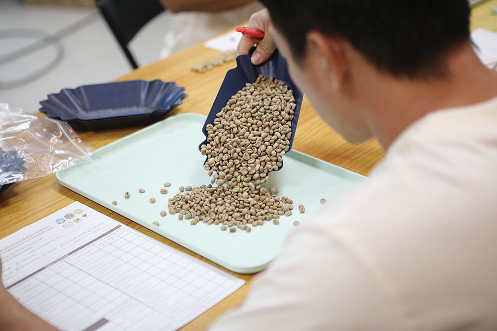 หลาก&หลายเกษตร - พัฒนาเมล็ดกาแฟเมืองเลย รองรับตลาดโรบัสต้าคุณภาพ