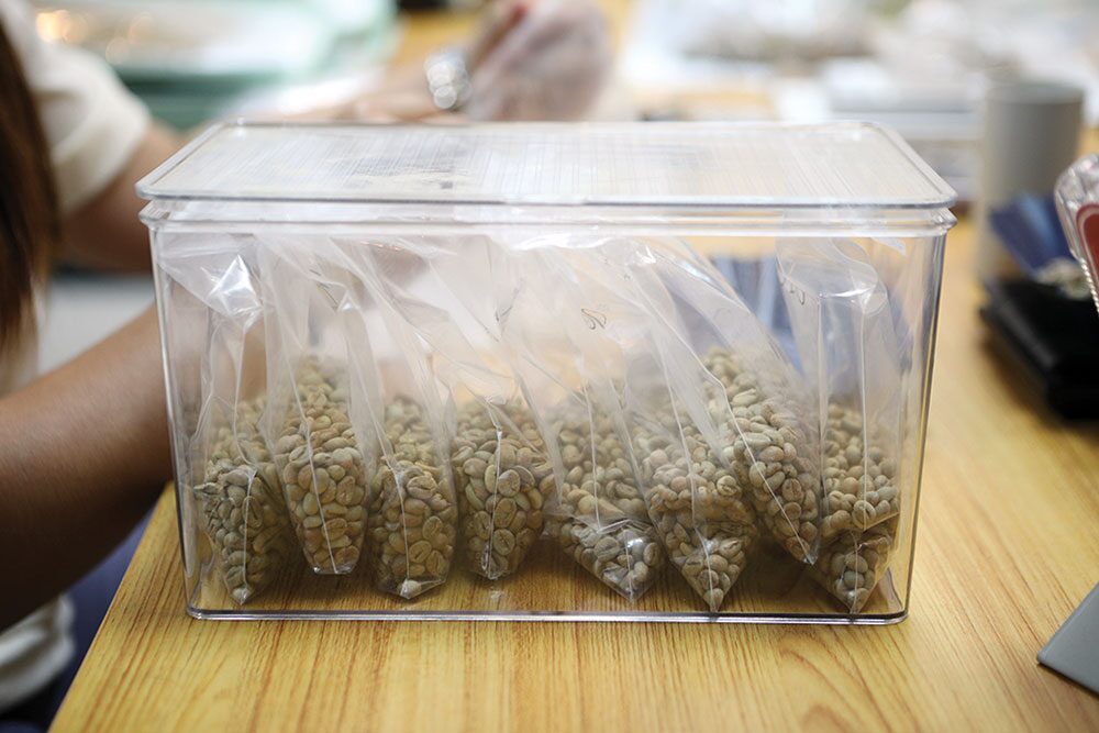หลาก&หลายเกษตร - พัฒนาเมล็ดกาแฟเมืองเลย รองรับตลาดโรบัสต้าคุณภาพ