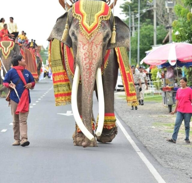 ภาพประกอบ
