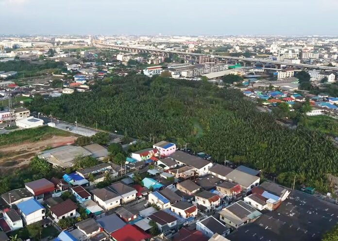 สดจากเยาวชน