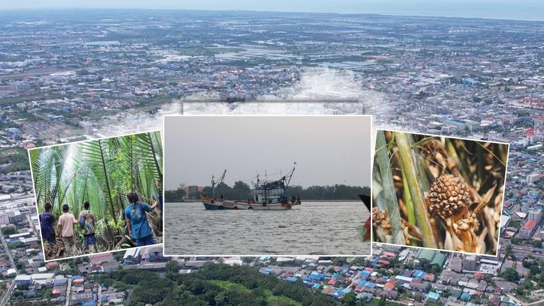 สดจากเยาวชน – ท่าฉลอม เมืองท่าที่ยังมีลมหายใจ
