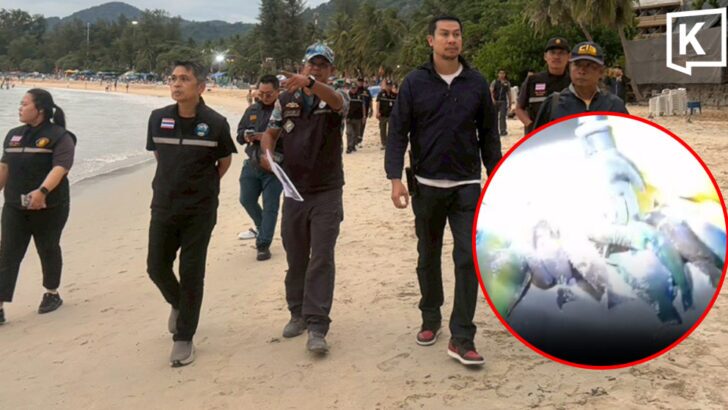 Phuket tightens patrols after foreign tourists spear parrotfish