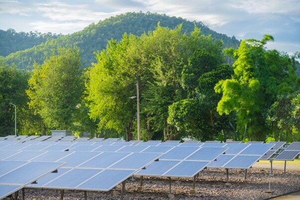"Net Metering" and "Net Billing": Clean Energy Options and the Equity Question