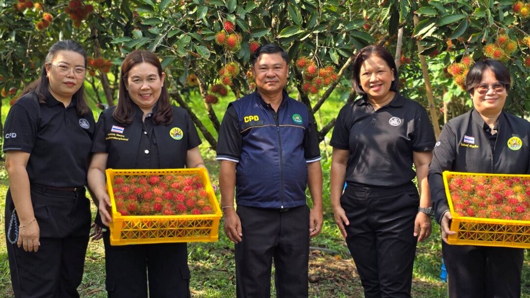 ฟรุ้ตบอร์ด ไฟเขียว 4 มาตรการ กระตุ้นบริโภคผลไม้ไทย สกัดผลผลิตล้นตลาด