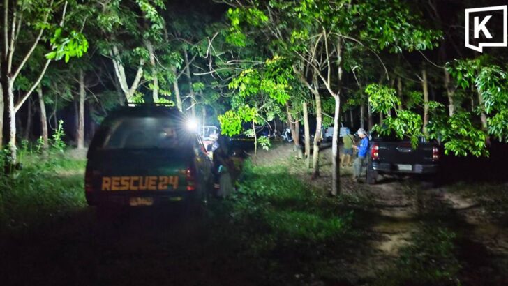 Wild elephants kill park volunteer in Prachinburi