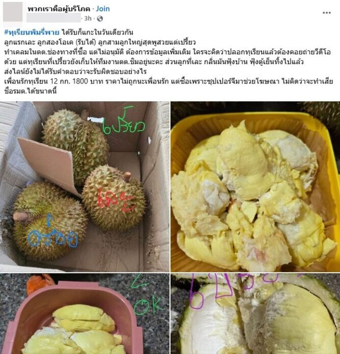 ทุเรียนพิมรี่พาย