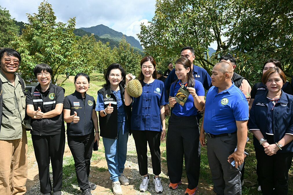 ดัน ทุเรียนดินลาวา สู่ของดีเมืองเชียงราย ผุด One Day Trip เที่ยวเชิงเกษตรเชื่อมถ้ำหลวง