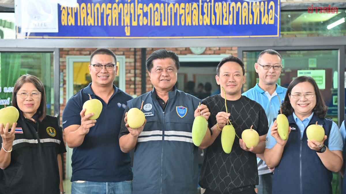 Internal Trade Department Plans to Distribute Mangoes and Longans, Link Markets to Stabilize Prices