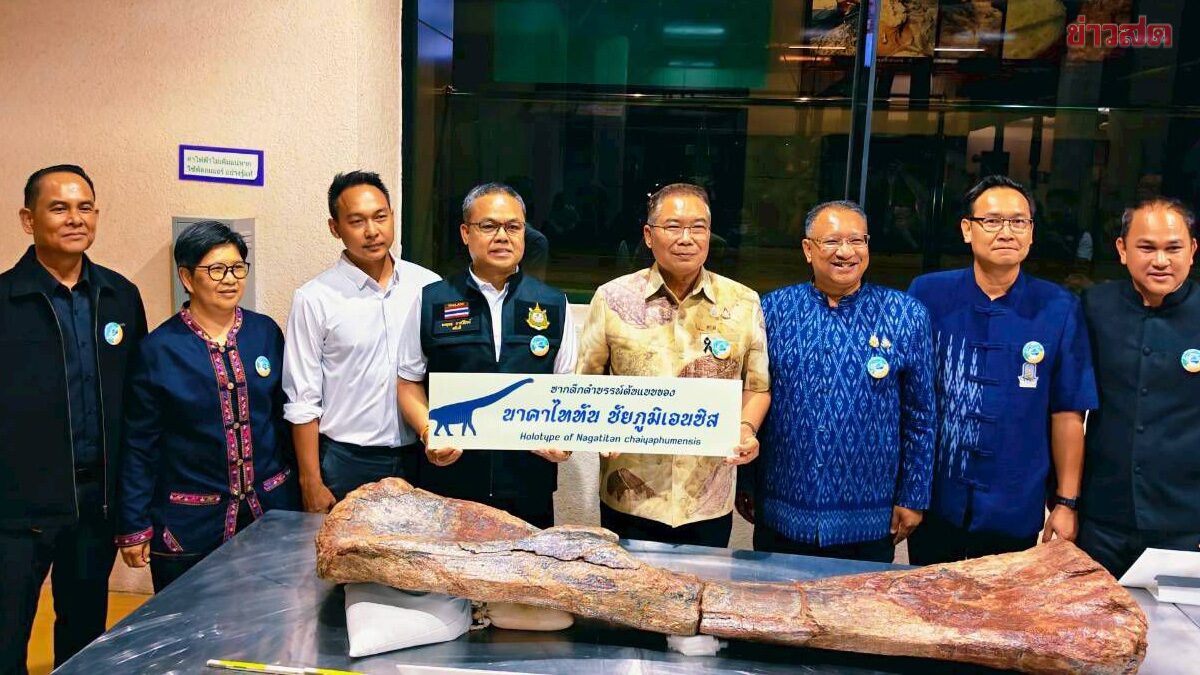 กรมทรัพฯ แถลงค้นพบไดโนเสาร์ชนิดใหม่ ลำดับที่ 14 ของไทย “นาคาไททัน ชัยภูมิเอนซิส”