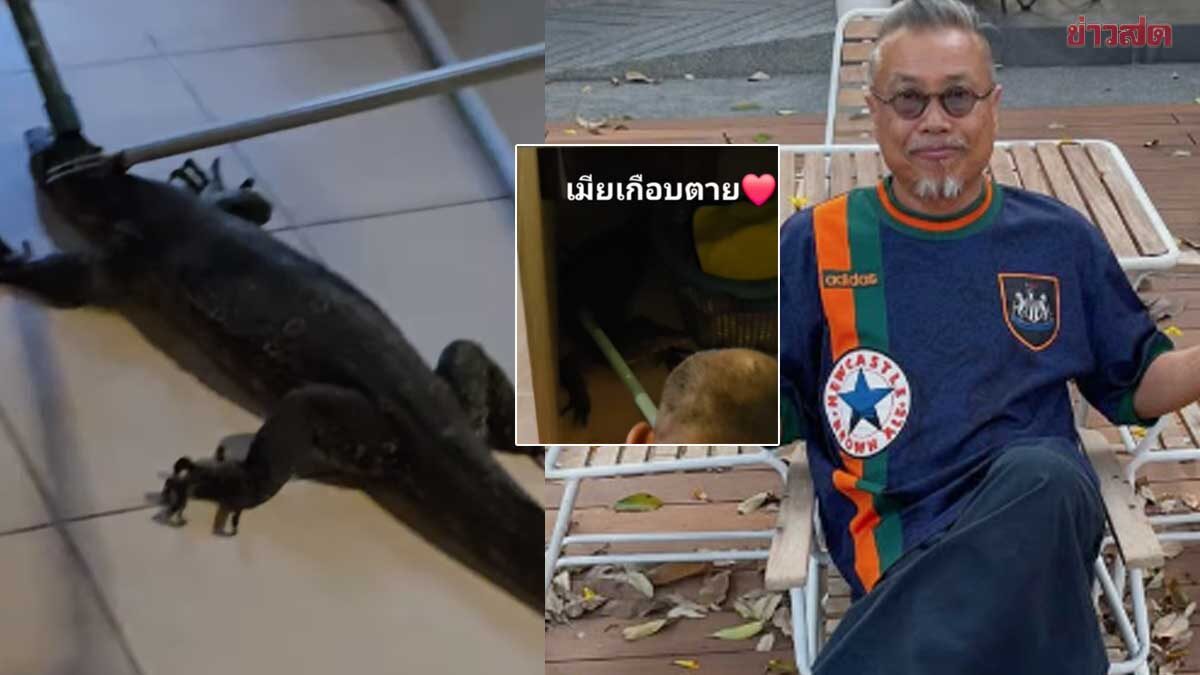ใหญ่มาก ป๋อง กพล เผยเมียเกือบตาย กรี๊ดลั่นนึกว่าเจอผี ตัวเงินตัวทองเข้าบ้าน