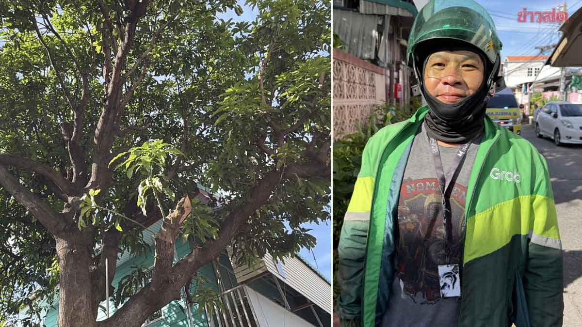 Praise for Speech-Disabled Rider Who Heroically Climbed Tree to Rescue Unconscious Homeowner Before Paramedics Arrived