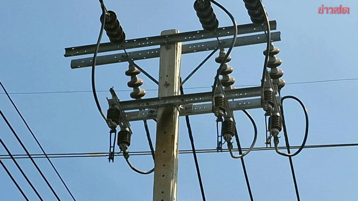 Close Call on Labor Day: 18-Year-Old Worker Electrocuted While Installing Animal Netting on Power Pole